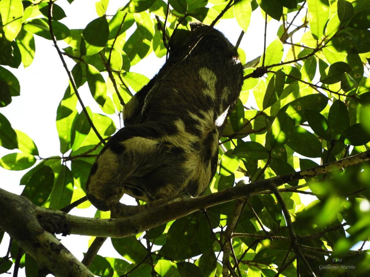 Reserva Natural Natura Park Villa Puerto Nariño Exterior foto