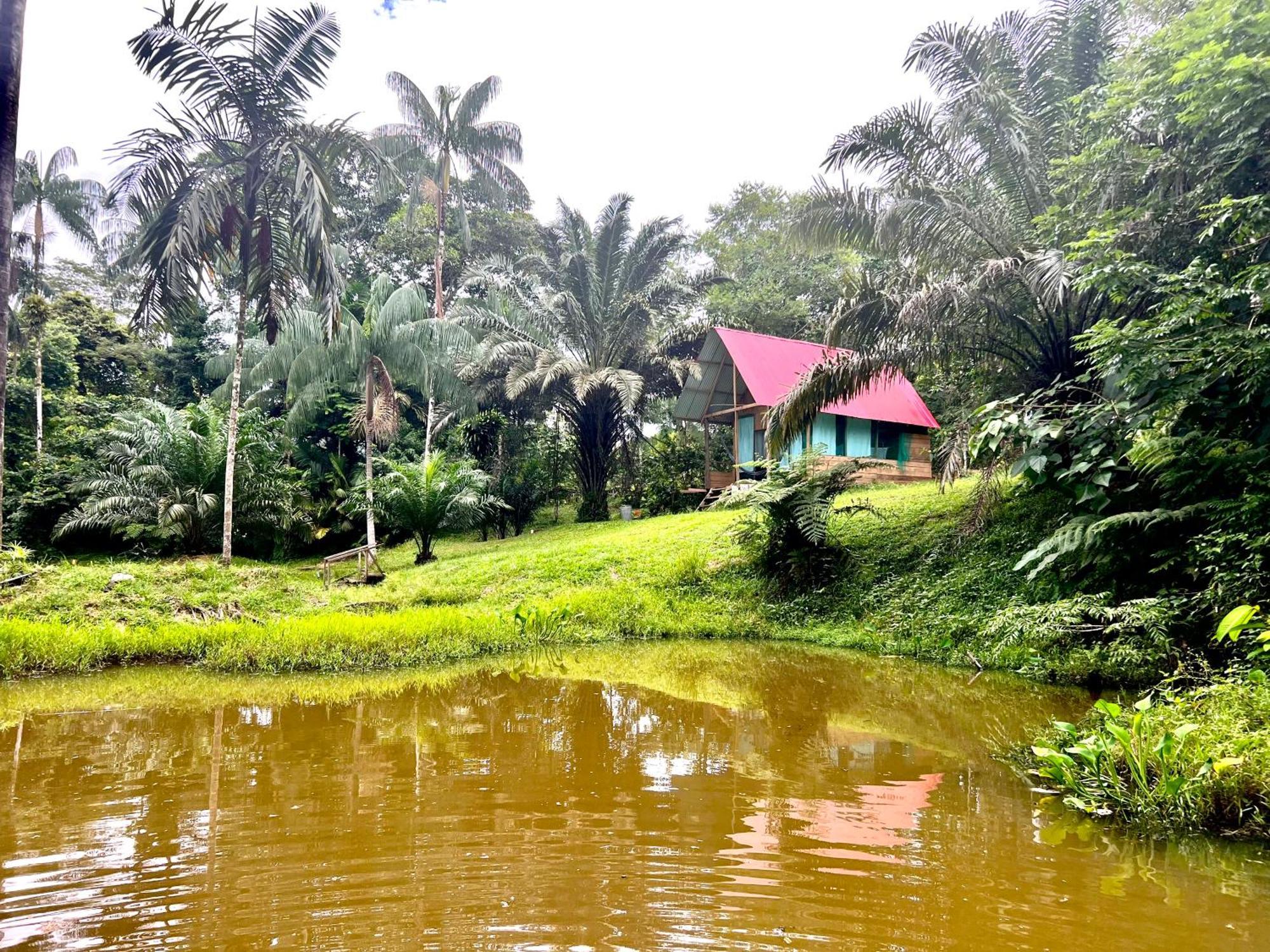 Reserva Natural Natura Park Villa Puerto Nariño Exterior foto