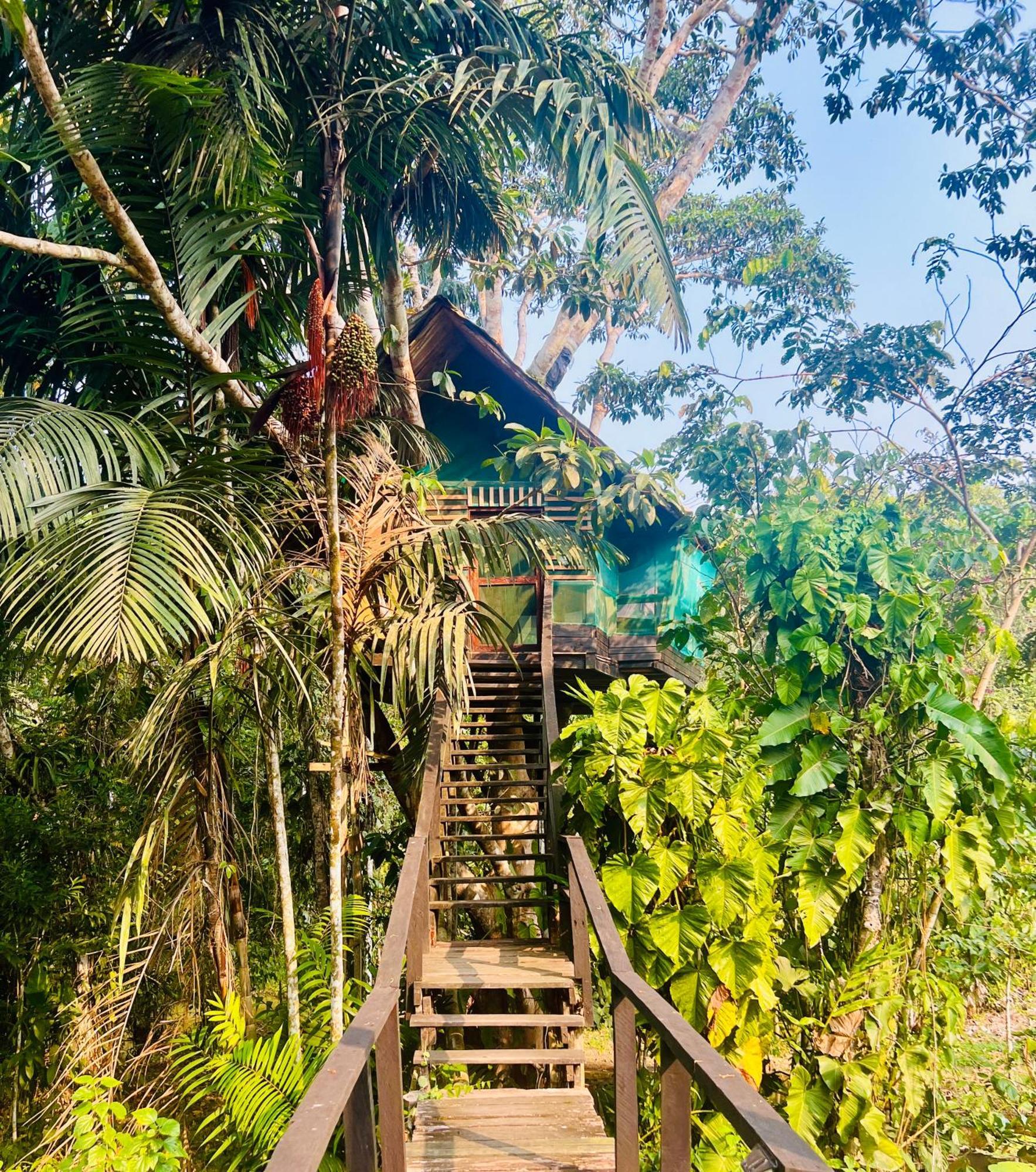 Reserva Natural Natura Park Villa Puerto Nariño Exterior foto