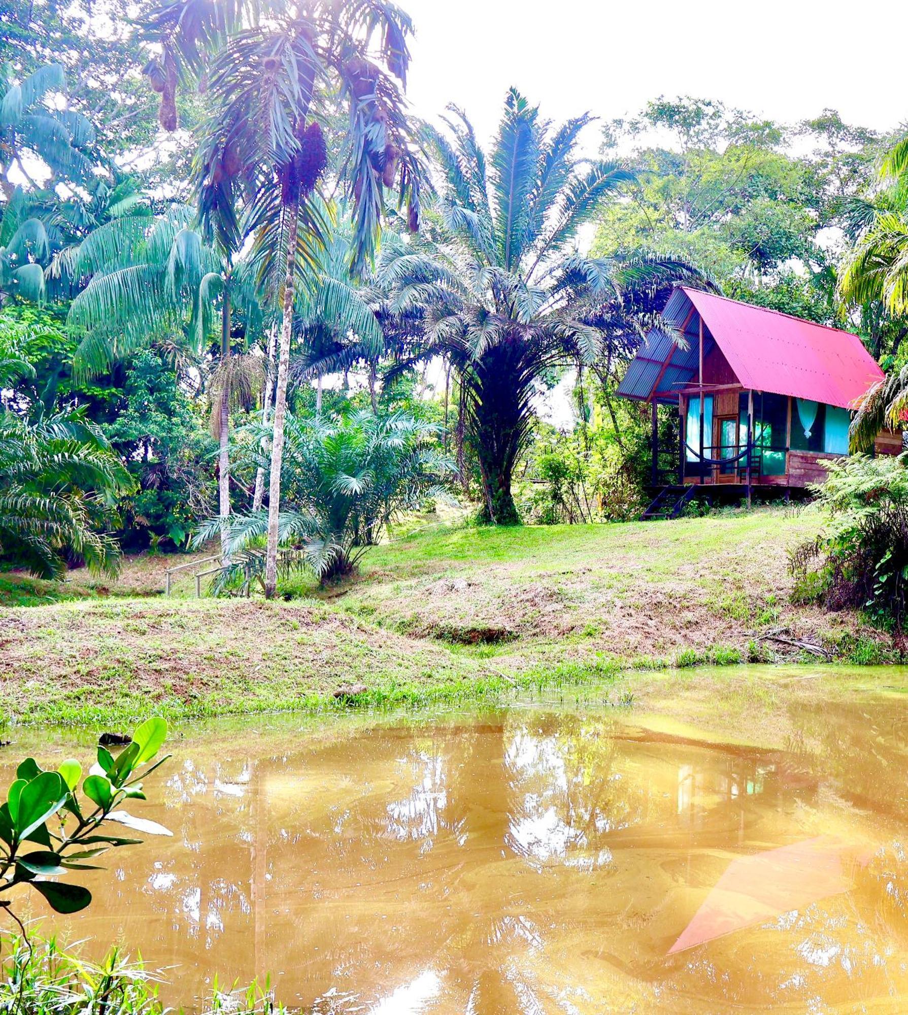 Reserva Natural Natura Park Villa Puerto Nariño Exterior foto